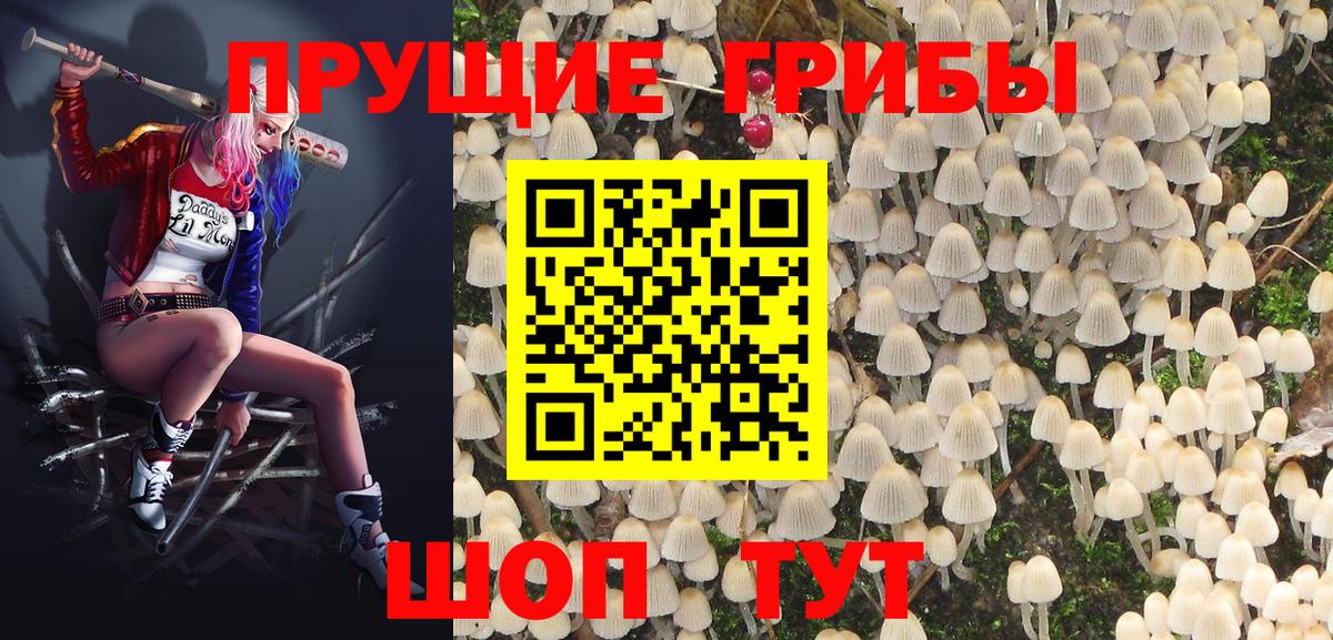 Псилоцибиновые грибы Cubensis Нарткала