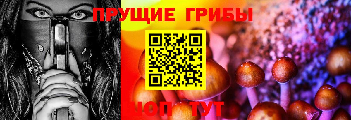 Нарткала  Галлюциногенные грибы Psilocybine cubensis  Вход с VPN 